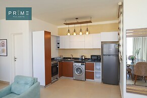 Prime Holidays Seashell