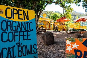 Turtle Bay Kuilima 150 East 1 Bedroom Condo