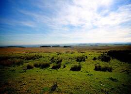 Cabin by Langley Dam With Lake Views