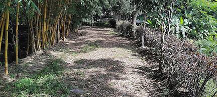 Pavanputra Resort Hassan