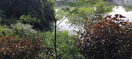 Pavanputra Resort Hassan