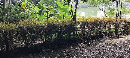 Pavanputra Resort Hassan