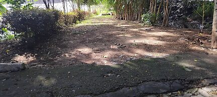 Pavanputra Resort Hassan