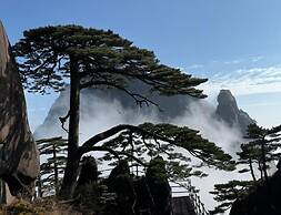Mount Huangshan Danqing Yayuan B&B Hotel
