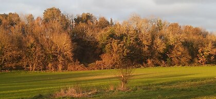 Les rives du Rochefollet