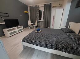 Tudor Apartment Universitate