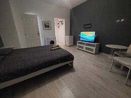 Tudor Apartment Universitate