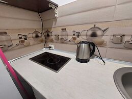 Tudor Apartment Universitate