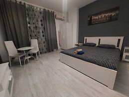 Tudor Apartment Universitate