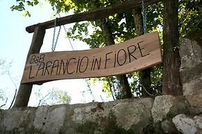 L' ARANCIO IN FIORE