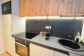 Twin II Apartment - One Bedroom - Cismigiu Gardens