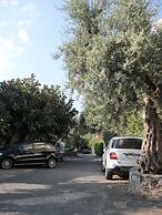 TRIVANO PARCO ULIVI SECONDO PIANO