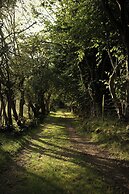Unique Cabin Wrapped in Beautiful Welsh Scenery