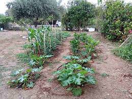 Coastal Haven Your Oasis by the Sea