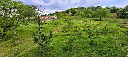 Morning Breeze Homestay Kanatal