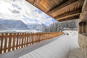 Chalet With ski Access, Neukirchen
