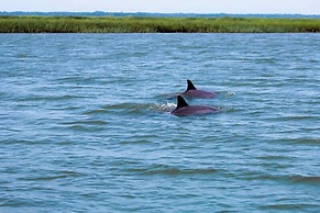 Spacious 7 Bedroom 5.5 Bath on Ocean Creek Golf Course!