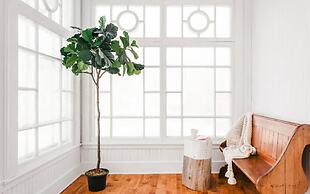 Lofts du Presbytère