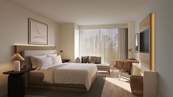 Hilton Jacksonville At Mayo Clinic