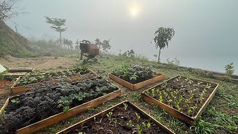 Mountain Nest Villa Dalat - BBQ-Camping