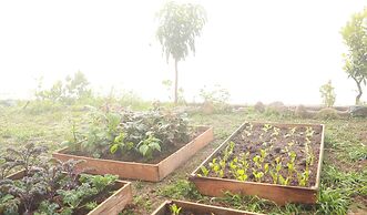 Mountain Nest Villa Dalat - BBQ-Camping