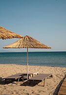 Koi Ayvalık