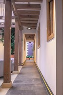 Masaya Collection Camelia