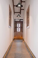 Masaya Collection Camelia