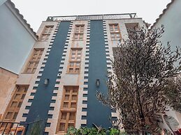 Masaya Collection Camelia