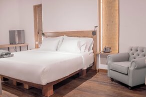 Masaya Collection Camelia