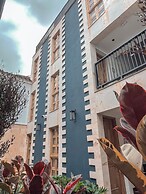 Masaya Collection Camelia