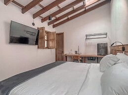 Masaya Collection Camelia