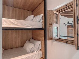 Masaya Collection Camelia