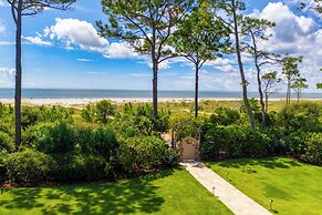 17 Green Wing Teal at The Sea Pines Resort