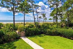 17 Green Wing Teal at The Sea Pines Resort