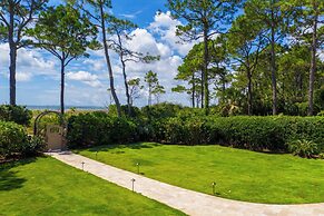 17 Green Wing Teal at The Sea Pines Resort