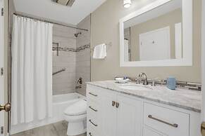 9 Ruddy Turnstone at The Sea Pines Resort