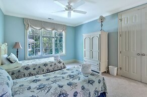 5 Belted Kingfisher at the Sea Pines Resort