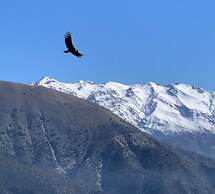 Origen del Maipo Lodge