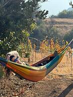 Origen del Maipo Lodge