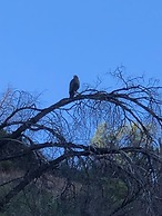 Origen del Maipo Lodge