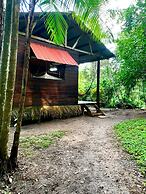 amazonian oropendola tambopata