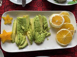 amazonian oropendola tambopata