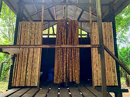 amazonian oropendola tambopata