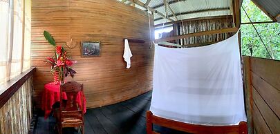 amazonian oropendola tambopata