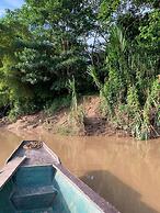 amazonian oropendola tambopata