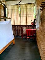 amazonian oropendola tambopata