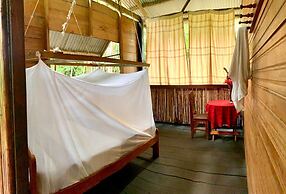 amazonian oropendola tambopata