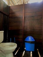 amazonian oropendola tambopata