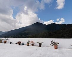 Hotel Mountain View